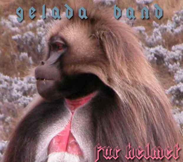 Click to see the music video