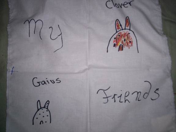 I didn't make the next bunny